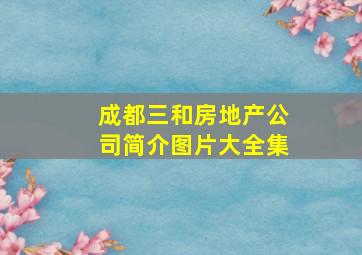 成都三和房地产公司简介图片大全集