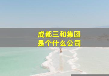 成都三和集团是个什么公司