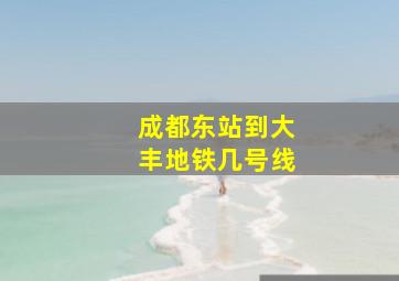 成都东站到大丰地铁几号线