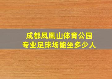 成都凤凰山体育公园专业足球场能坐多少人