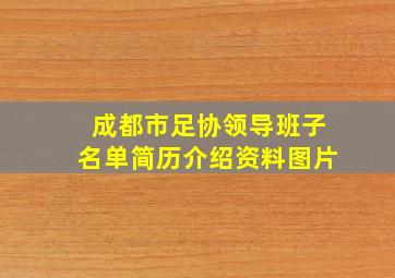 成都市足协领导班子名单简历介绍资料图片