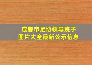 成都市足协领导班子图片大全最新公示信息