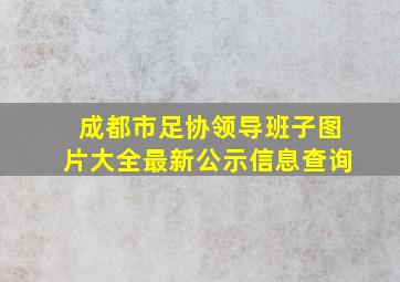 成都市足协领导班子图片大全最新公示信息查询