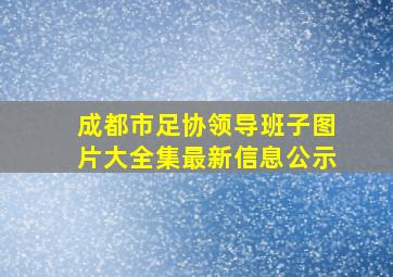 成都市足协领导班子图片大全集最新信息公示