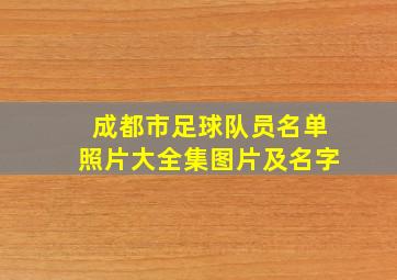 成都市足球队员名单照片大全集图片及名字