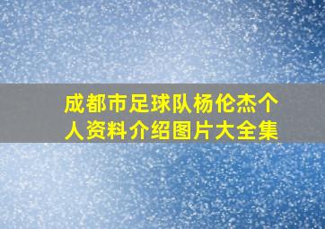 成都市足球队杨伦杰个人资料介绍图片大全集