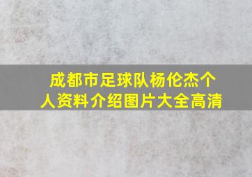 成都市足球队杨伦杰个人资料介绍图片大全高清