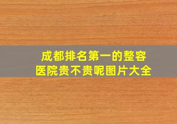 成都排名第一的整容医院贵不贵呢图片大全