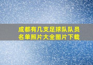 成都有几支足球队队员名单照片大全图片下载