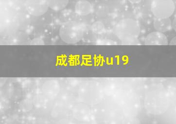 成都足协u19