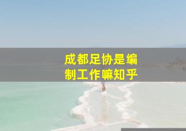 成都足协是编制工作嘛知乎