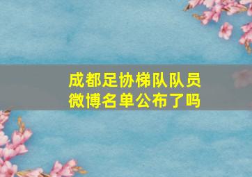 成都足协梯队队员微博名单公布了吗