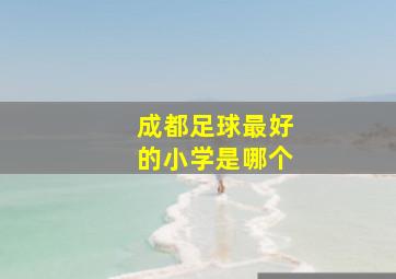 成都足球最好的小学是哪个