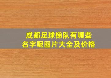 成都足球梯队有哪些名字呢图片大全及价格