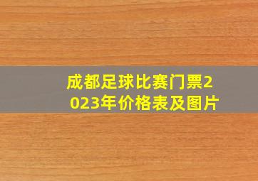 成都足球比赛门票2023年价格表及图片