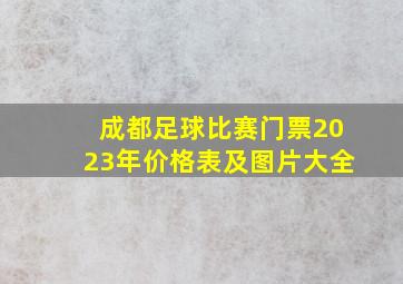 成都足球比赛门票2023年价格表及图片大全