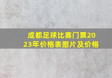 成都足球比赛门票2023年价格表图片及价格