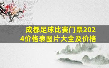 成都足球比赛门票2024价格表图片大全及价格