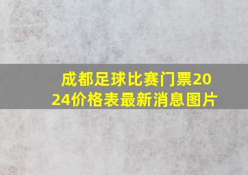 成都足球比赛门票2024价格表最新消息图片