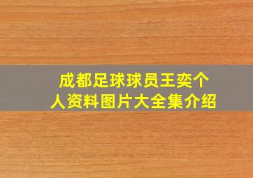 成都足球球员王奕个人资料图片大全集介绍