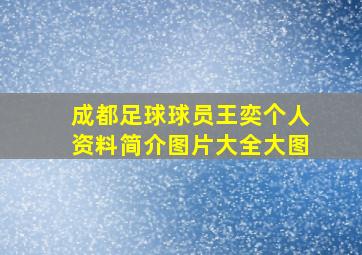 成都足球球员王奕个人资料简介图片大全大图