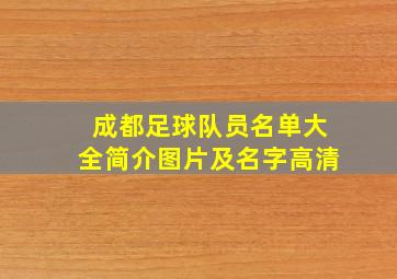 成都足球队员名单大全简介图片及名字高清