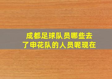 成都足球队员哪些去了申花队的人员呢现在