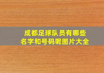 成都足球队员有哪些名字和号码呢图片大全