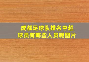 成都足球队排名中超球员有哪些人员呢图片