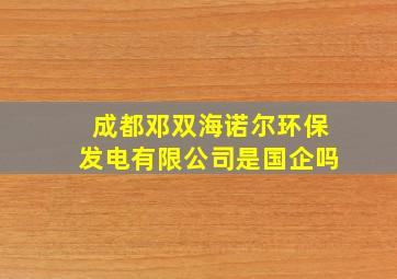 成都邓双海诺尔环保发电有限公司是国企吗