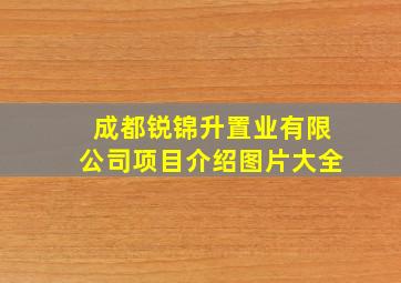 成都锐锦升置业有限公司项目介绍图片大全