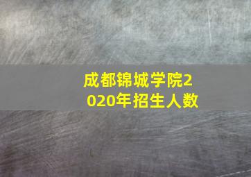 成都锦城学院2020年招生人数