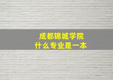 成都锦城学院什么专业是一本