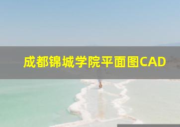 成都锦城学院平面图CAD