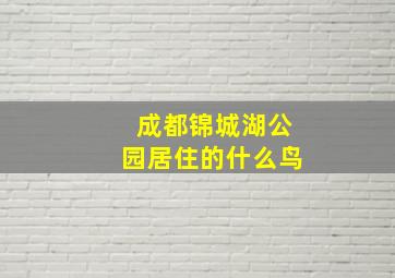 成都锦城湖公园居住的什么鸟