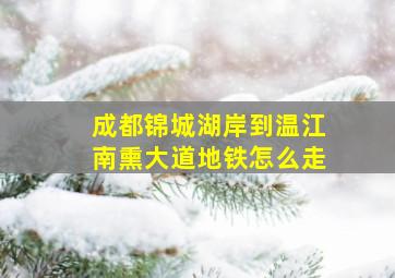 成都锦城湖岸到温江南熏大道地铁怎么走