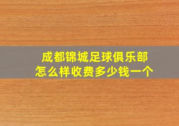 成都锦城足球俱乐部怎么样收费多少钱一个