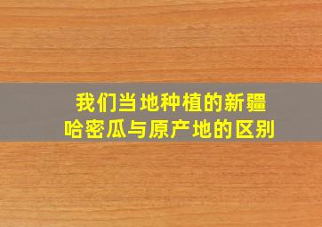 我们当地种植的新疆哈密瓜与原产地的区别