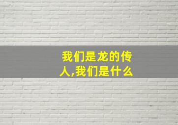 我们是龙的传人,我们是什么