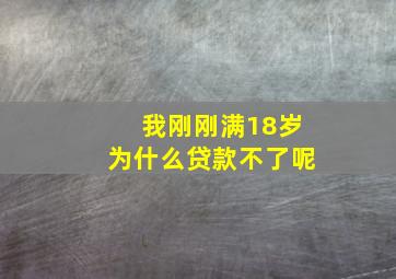 我刚刚满18岁为什么贷款不了呢