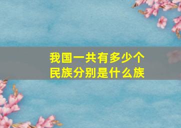 我国一共有多少个民族分别是什么族