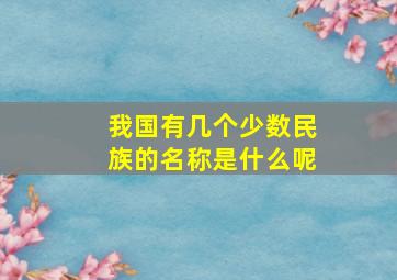 我国有几个少数民族的名称是什么呢