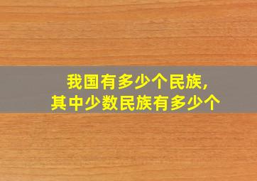 我国有多少个民族,其中少数民族有多少个