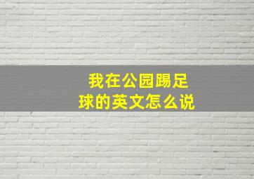 我在公园踢足球的英文怎么说