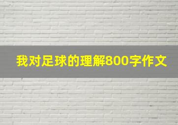 我对足球的理解800字作文