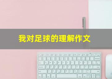 我对足球的理解作文