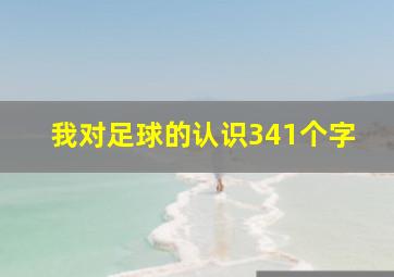 我对足球的认识341个字