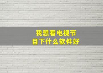 我想看电视节目下什么软件好