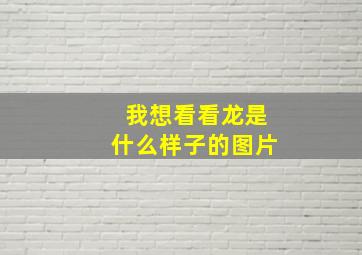 我想看看龙是什么样子的图片