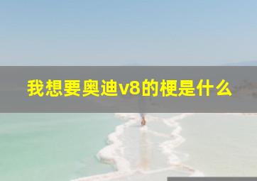 我想要奥迪v8的梗是什么